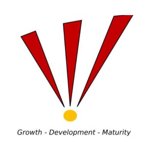 Global Academy of Education